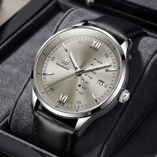 Celestial Echo Watch