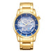 Blue - Gold