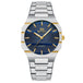 Blue - Gold - Silver