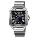 Black - Silver Steel
