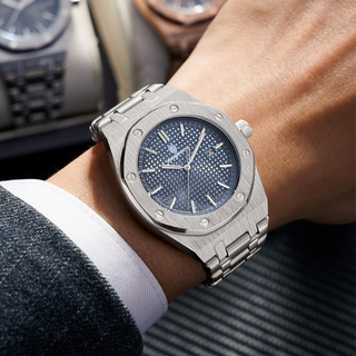 Aurora Dynasty Watch