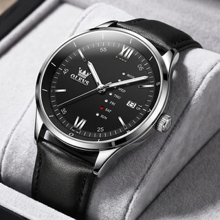 Celestial Echo Watch