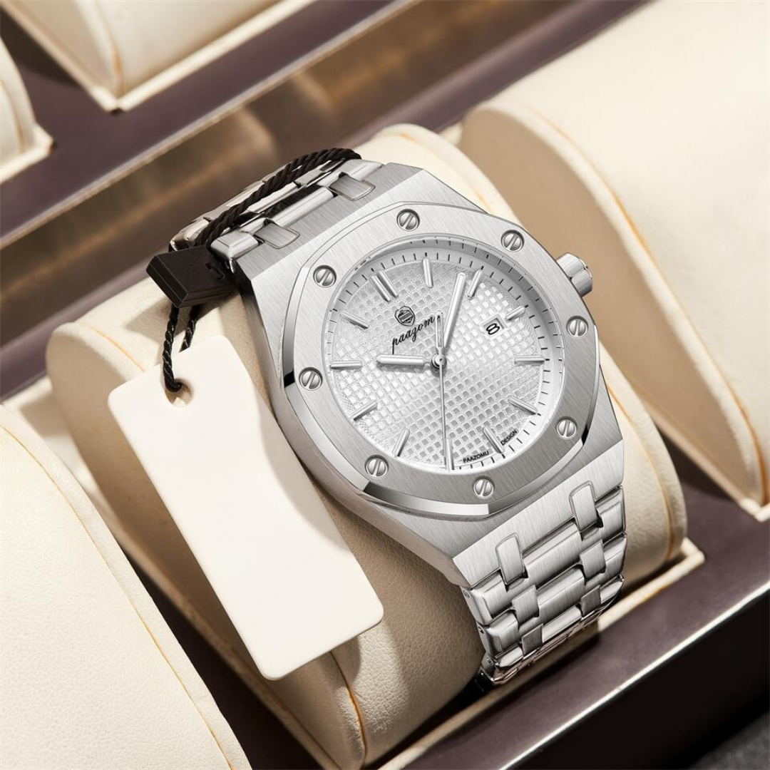 Aurora Dynasty Watch