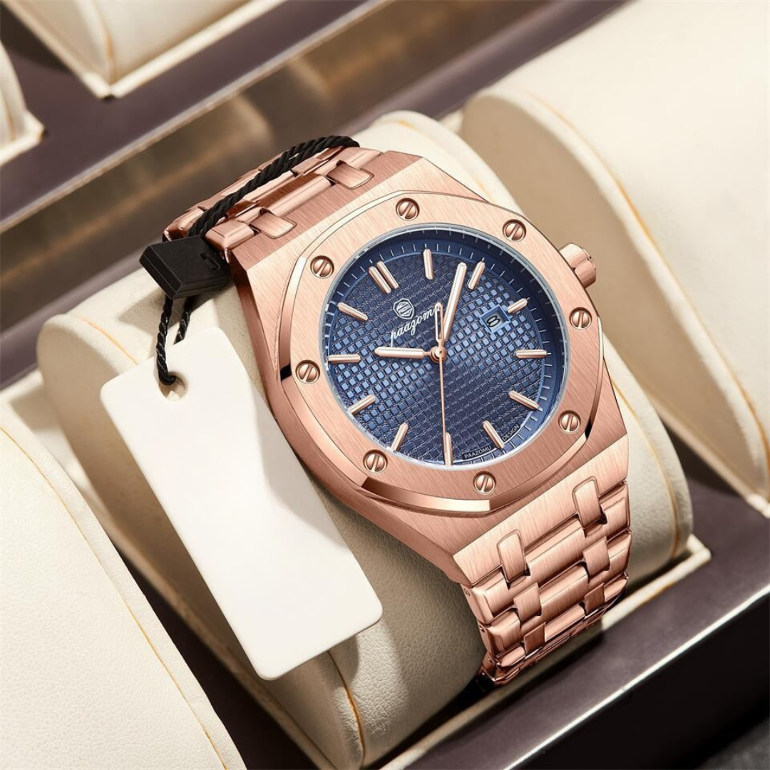 Aurora Dynasty Watch