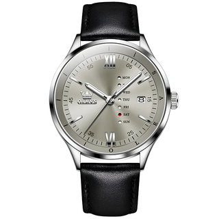 Celestial Echo Watch