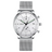 Silver - White
