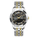 Black - Silver - Gold