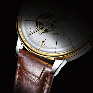 Titan Zenith Watch