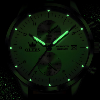 Majestic Odyssey Watch