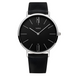 Black-Silver