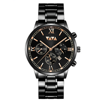Stellar Virtue Watch