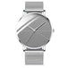 Silver - Gray